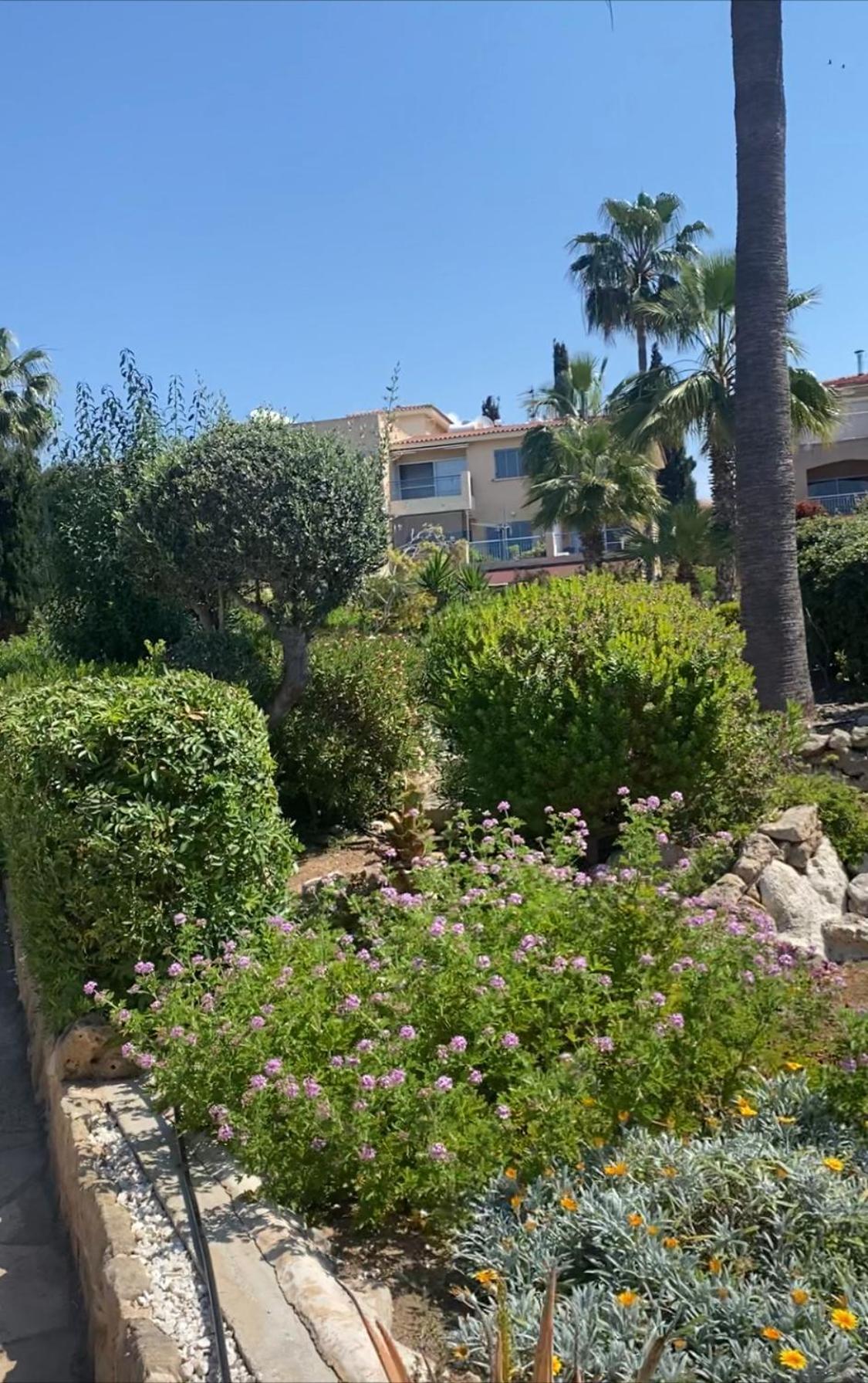 Newly Renovated- Regina Gardens 1, Venus Beach 500 M, Sea&Sunsets View, License Ooo7141 Paphos Kültér fotó