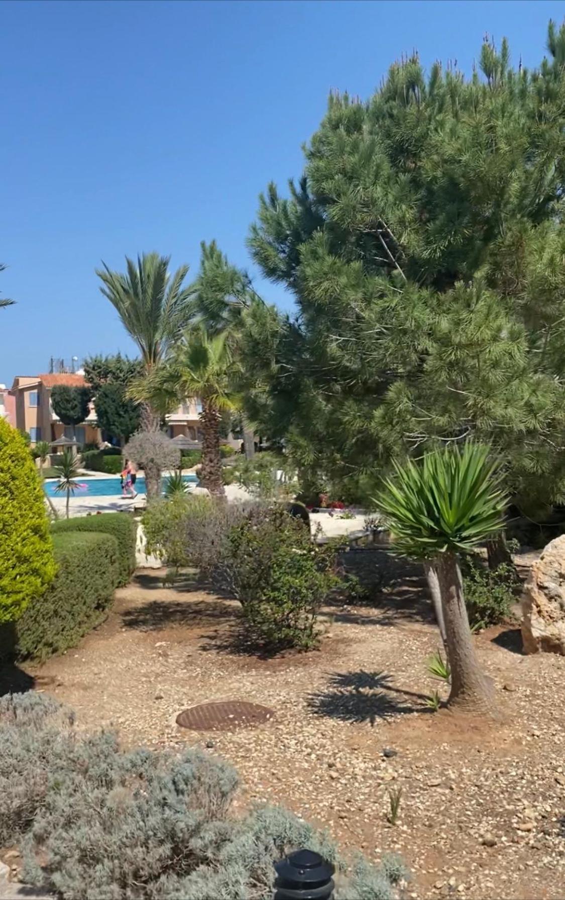 Newly Renovated- Regina Gardens 1, Venus Beach 500 M, Sea&Sunsets View, License Ooo7141 Paphos Kültér fotó