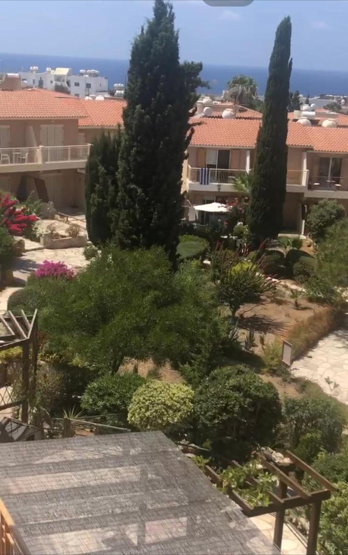 Newly Renovated- Regina Gardens 1, Venus Beach 500 M, Sea&Sunsets View, License Ooo7141 Paphos Kültér fotó