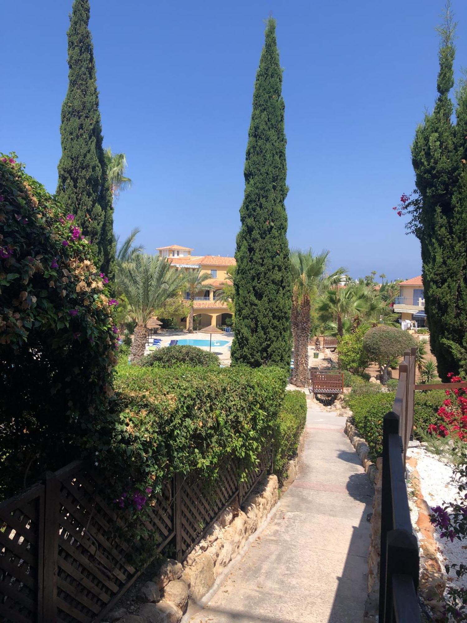 Newly Renovated- Regina Gardens 1, Venus Beach 500 M, Sea&Sunsets View, License Ooo7141 Paphos Kültér fotó